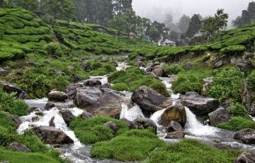 Experience 10 Days 9 Nights Cochin, Trivandrum, Alleppey, Munnar, Thekkady and Kovalam Vacation Package