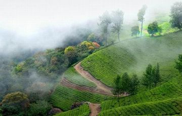 Memorable 5 Days 4 Nights Munnar, Alleppy with Thekkaddy Trip Package