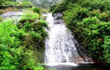 Best 3 Days 2 Nights Kodiakanal Tour Package