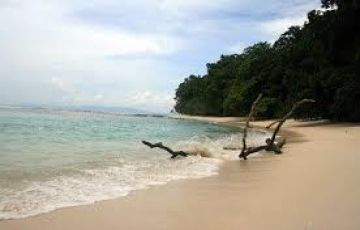 6 Days 5 Nights Port Blair and Havelock Trip Package