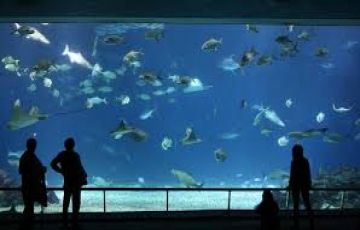 Memorable 3 Days 2 Nights Port Blair Trip Package