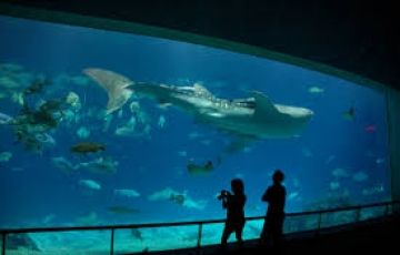 Memorable 3 Days 2 Nights Port Blair Trip Package