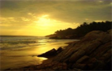 Beautiful 8 Days 7 Nights Munnar, Alleppey, Thekedy, Kovalam and Kanyakumari Holiday Package