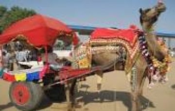 Best 3 Days 2 Nights Jaipur Tour Package