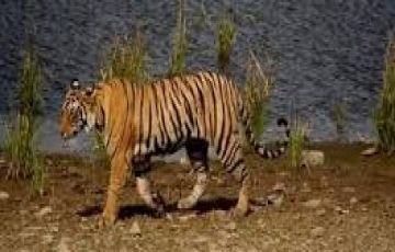 Amazing 8 Days 7 Nights Agra Tour Package