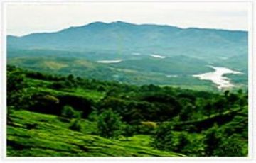 Memorable 3 Days 2 Nights Cochin and Munnar Vacation Package