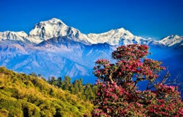 Best 4 Days 3 Nights Kathmandu, Nepal and Pokhra Trip Package