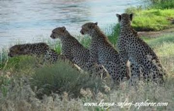Beautiful 6 Days 5 Nights Nairobi, Amboseli, Nakuru with Maasai Mara Vacation Package