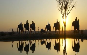 Ecstatic 6 Days 5 Nights Corbett Holiday Package