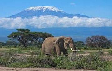Amboseli Natonal Park with Tsavo West national Park Tour Package for 4 Days 3 Nights from Nairobi
