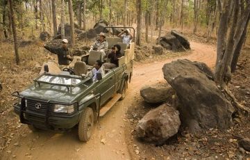 Memorable 3 Days 2 Nights Tadoba National Park Holiday Package