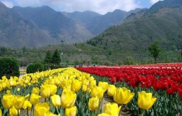 Experience 5 Days 4 Nights Srinagar Vacation Package