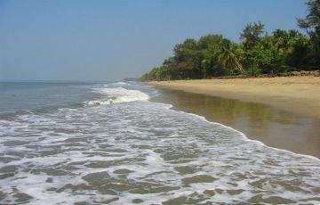Cochin Tour Package from Cochin,Kerala