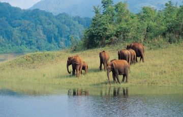 Best 5 Days 4 Nights Munnar Holiday Package