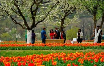 Amazing 8 Days 7 Nights Sonamarg Holiday Package