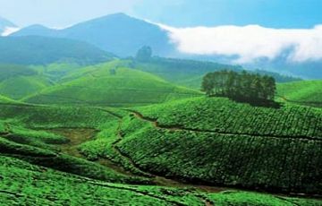 Magical 4 Days 3 Nights Thekkady Tour Package