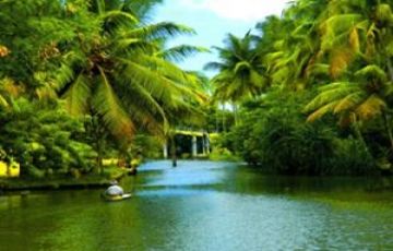 Pleasurable 4 Days 3 Nights Alleppey, Kovalam with Trivandram Trip Package