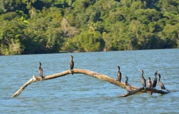 Ecstatic 8 Days 7 Nights Zacapa Vacation Package