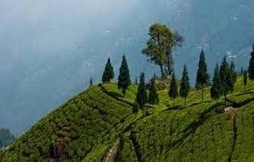 Gangtok Tour Package for 6 Days 5 Nights from New Delhi