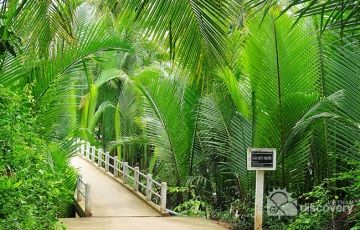 Family Getaway Ben Tre Tour Package for 6 Days 5 Nights