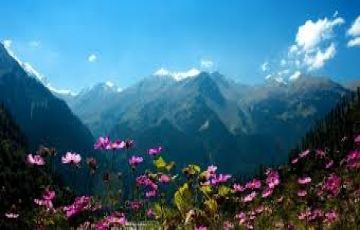 Heart-warming 4 Days 3 Nights Delhi and Manali Vacation Package