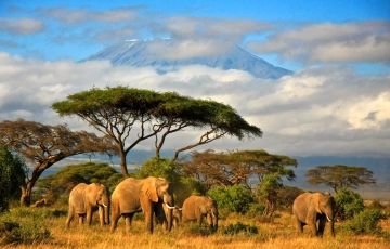 Amazing Ngorongoro Tour Package for 5 Days 4 Nights