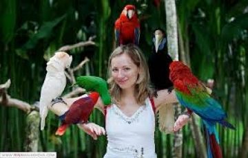 Ecstatic 5 Days 4 Nights Bali and Bedugul Trip Package