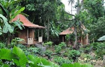 Ecstatic 5 Days 4 Nights Bali and Bedugul Trip Package