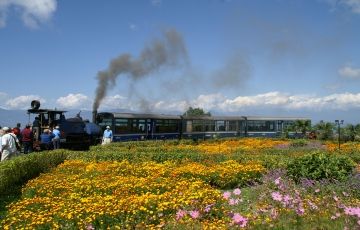 Pleasurable 11 Days 10 Nights Gangtok, Darjeeling and Kalimpong Tour Package