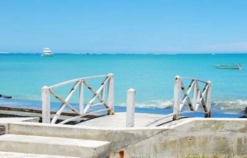 Heart-warming 7 Days 6 Nights North Island Tour Holiday Package