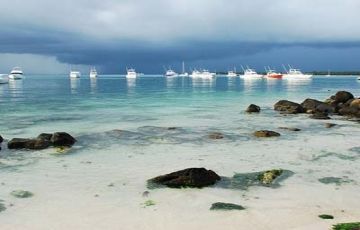 Heart-warming 7 Days 6 Nights North Island Tour Holiday Package