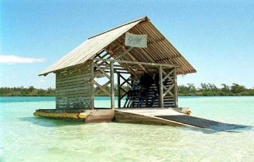 Heart-warming 7 Days 6 Nights North Island Tour Holiday Package