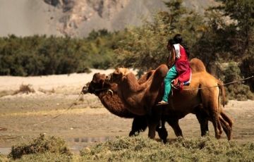 Experience 6 Days 5 Nights Leh, Nubra Valley and Pongong Trip Package