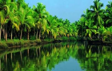 Family Getaway 4 Days 3 Nights Kumarakom Vacation Package