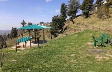 3 Days New Delhi,anywhere to Dehradun Trip Package