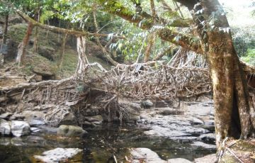 Beautiful 7 Days 6 Nights Shillong Holiday Package