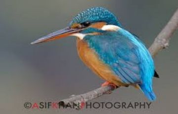 Best 5 Days 4 Nights Ahmedabad and SasanGir Vacation Package