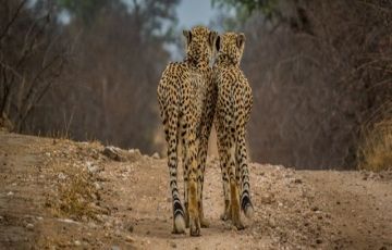 Best 3 Days 2 Nights Narok Vacation Package Best 3 Days 2 Nights Narok Vacation Package