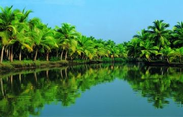 Best 6 Days 5 Nights Cochin, Munnar, Thekkady with Alleppey Trip Package