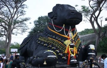 Memorable 4 Days 3 Nights Mysore with Coorg Vacation Package