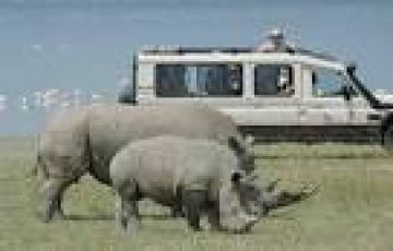 Nairobi, Maasai mara, Lake Naivasha and Aberdare Tour Package for 8 Days 7 Nights