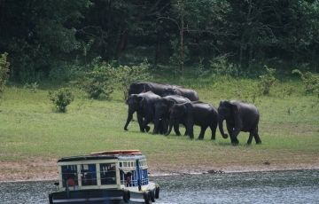 Experience 6 Days 5 Nights thekkady Holiday Package