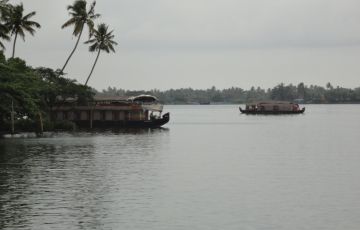 Kerala Tour- 5 Days 4 Nights Munnar, Thekady with Alleppey