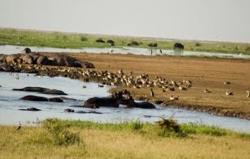 Experience 6 Days 5 Nights Kullu Manikaran Vacation Package