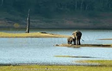 Ecstatic 5 Days 4 Nights Kerala, Alleppey and Cochin Trip Package