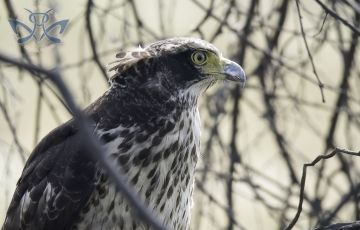 Memorable 3 Days 2 Nights Bharatpur Tour Package