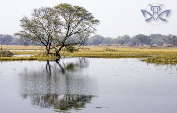 Memorable 3 Days 2 Nights Bharatpur Tour Package