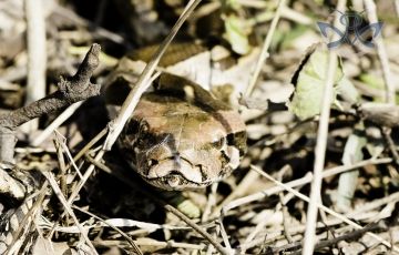 Memorable 3 Days 2 Nights Bharatpur Tour Package