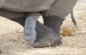 Magical 3 Days 2 Nights Maasai Mara and Nairobi Tour Package Magical 3 Days 2 Nights Maasai Mara and Nairobi Tour Package