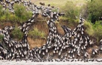Magical 3 Days 2 Nights Maasai Mara and Nairobi Tour Package Magical 3 Days 2 Nights Maasai Mara and Nairobi Tour Package